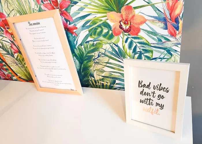 Cosy Myrtille Mure - T5 - Grand Apartment Pau